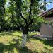 Oradea, Bihor